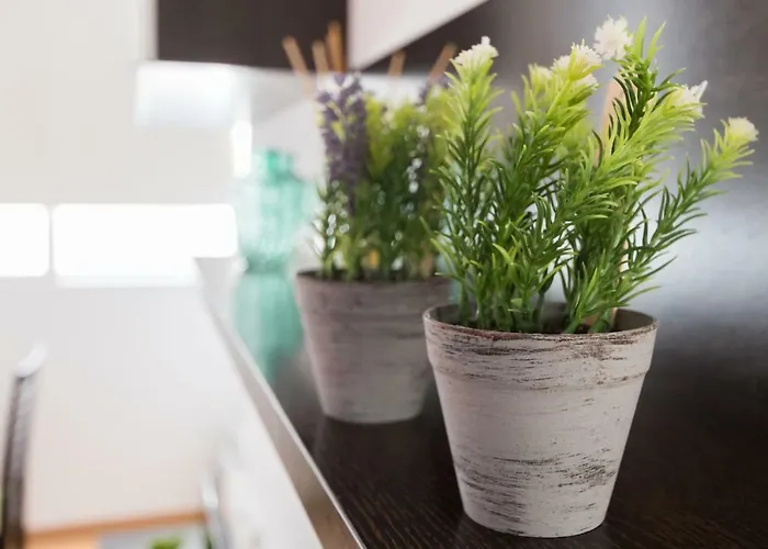 Διαμέρισμα El Solarium De Torre *