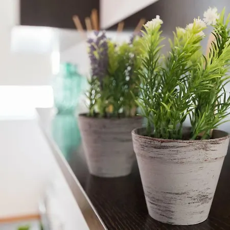 公寓 El Solarium De Torre *